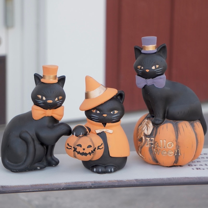 Hallowe'enパンプキンを持った黒猫さん