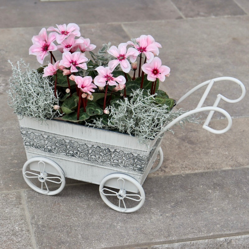 11_000000008625.jpg?1739105865