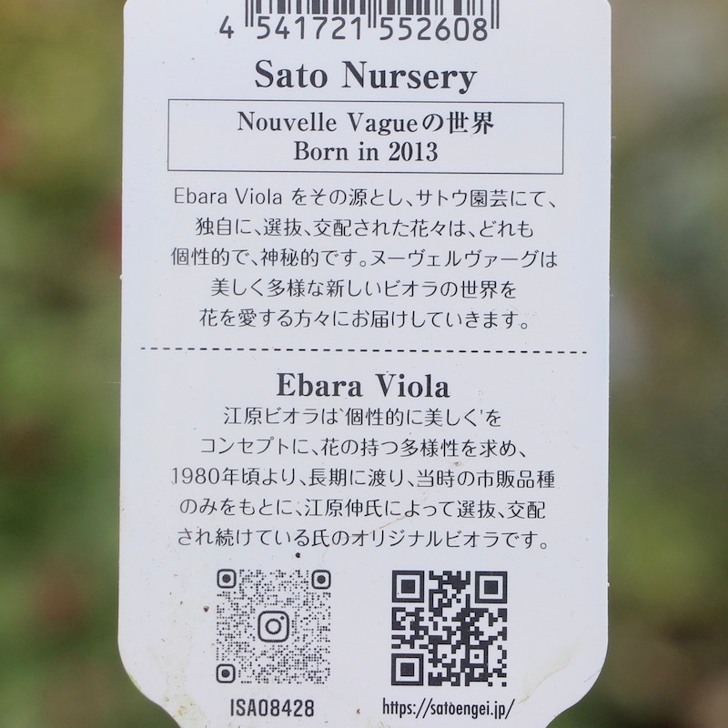現品1点限り☆サトウ園芸さんのビオラ・ヌーヴェルヴァーグ☆10 現品1点限り☆サトウ園芸さんのビオラ・ヌーヴェルヴァーグ☆10