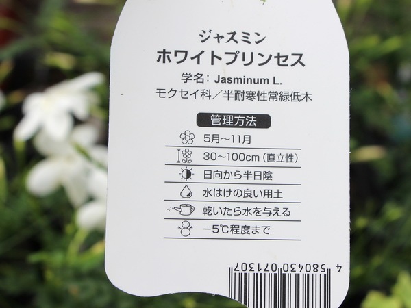 ジャスミン様 リクエスト 4点 まとめ商品 まっく様 リクエスト 4点 まとめ商品