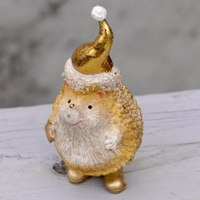 シルバーとゴールドのハリネズミペア！