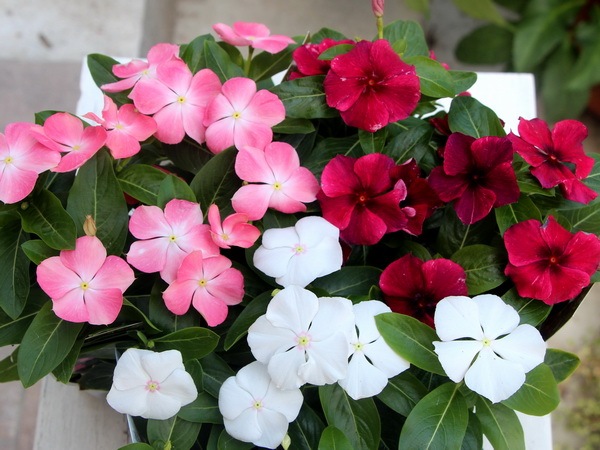 2_000000002443.jpg?1678209904