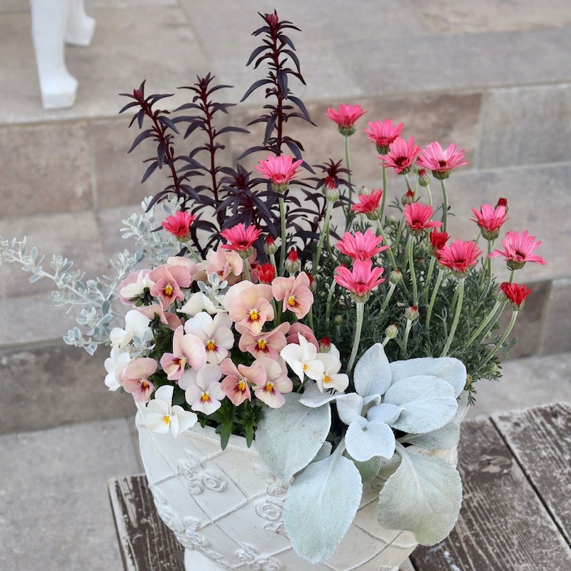 ♥♡春*可愛い桜ウェディング飾り**♡一点物♥ ♥♡春 【