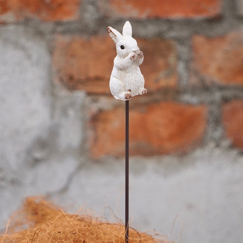 ガーデンピック「白いラビットピック♪」