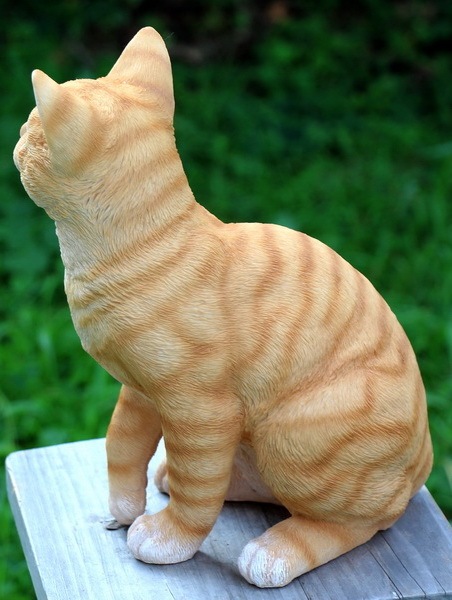 本物に見える!!大きさもリアルなトラネコ「茶トラちゃん」