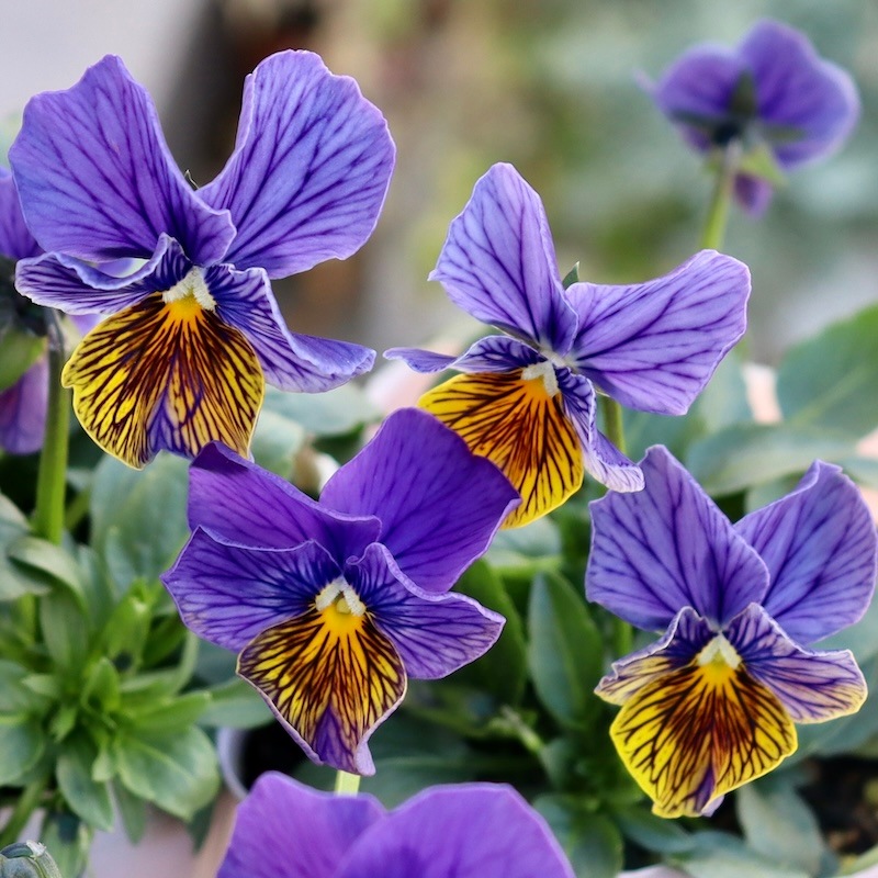 1_000000008352.jpg?1736388145