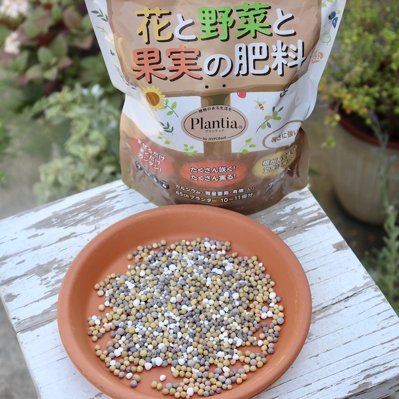 最新農業技術 vol.16 5冊セット(野菜、作物、土壌施肥、果樹、花卉)