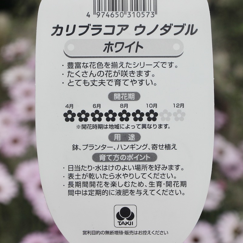 カリブラコア・ウノダブル「ホワイト」(3.5号ポット)