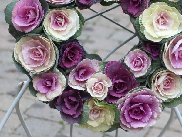 寄せ植え　ミニ ハボタン　リース仕立て (スタンド付)　葉牡丹　ハンギングリース 寄せ植え ミニ ハボタン リース仕立て (スタンド付) 葉牡丹