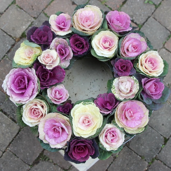 寄せ植え　ミニ ハボタン　リース仕立て (スタンド付)　葉牡丹　ハンギングリース ハボタン　リース仕立て (スタンド付)　葉牡丹　ハンギングリース 寄せ植え　ミニ