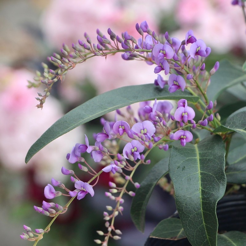 13_000000005658.jpg?1676513065