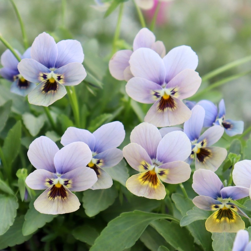 9_000000001860.jpg?1762614150