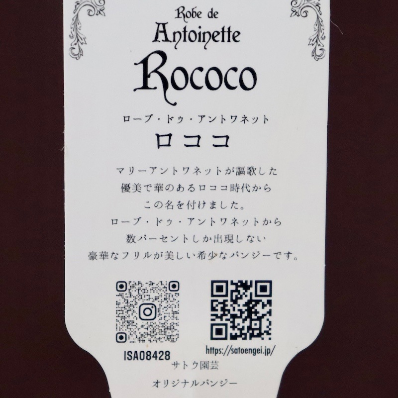 2024年デビューの希少品種》サトウ園芸さんのパンジー・ローブ・ドゥ