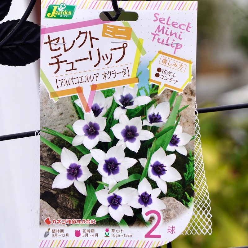 1_000000004969.jpg?1678209904