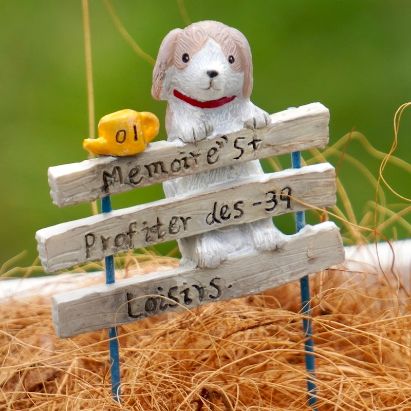 7_000000007570.jpg?1720888811