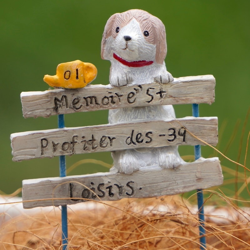 ガーデンピック☆パーツとしても。。 8_000000007570.jpg?1720888811