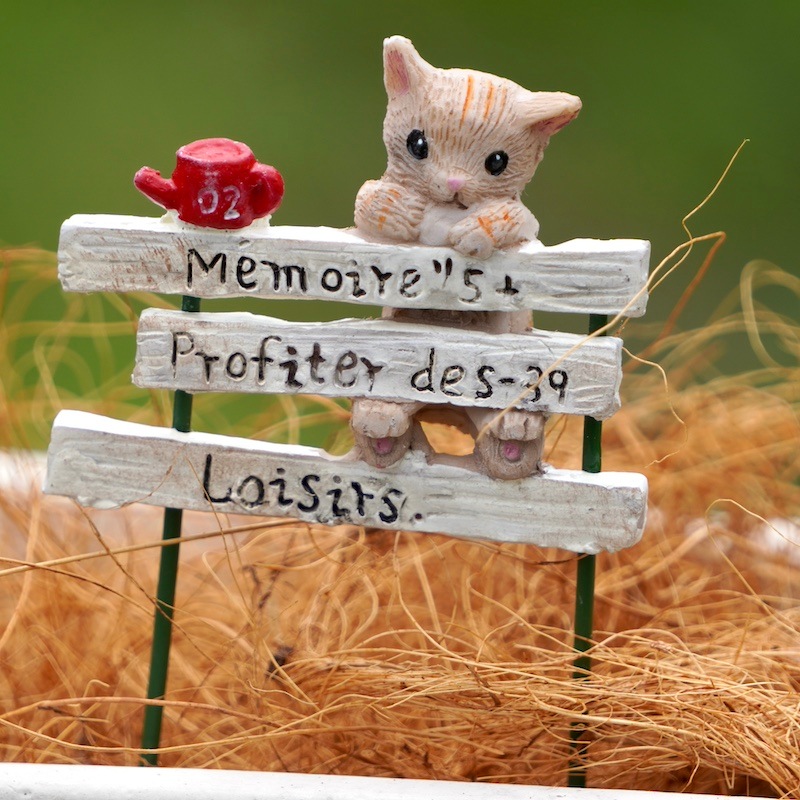 2_000000007571.jpg?1720890419