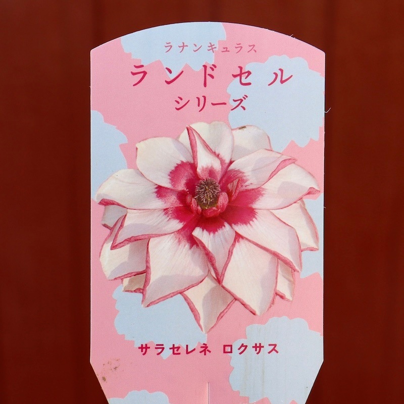 画像の現品【お試し価格】NEW☆ラナンキュラス・ランドセル