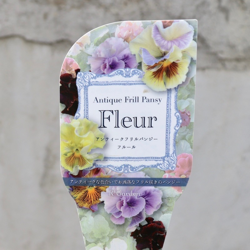 Rガーデンさんのアンティークフリルパンジー「フルール」 お色お任せ Rガーデンさんのアンティークフリルパンジー「フルール」 お色お任せ