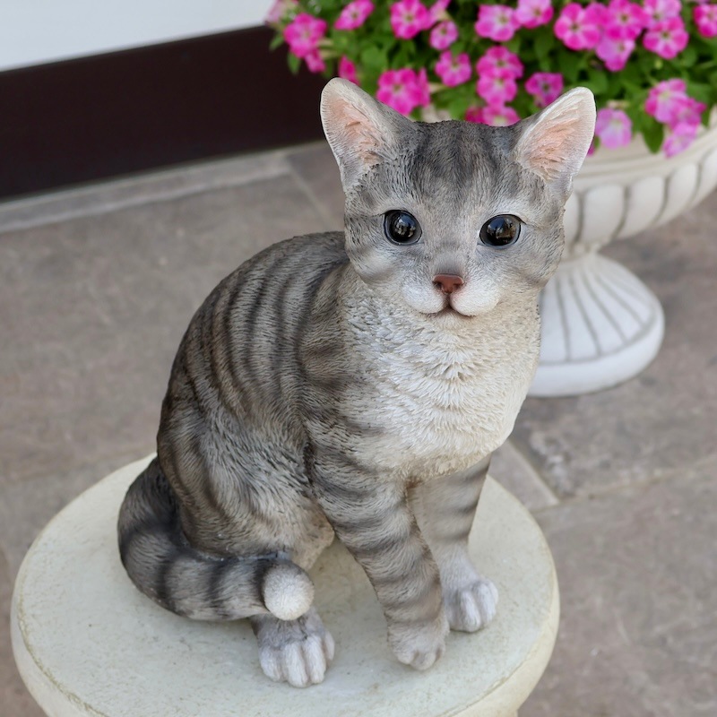 本物に見える!!大きさもリアルなトラネコ「サバトラちゃん」