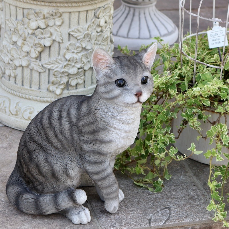 本物に見える!!大きさもリアルなトラネコ「サバトラちゃん」