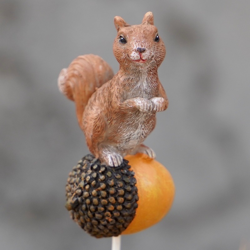 アイアンリスドングリ