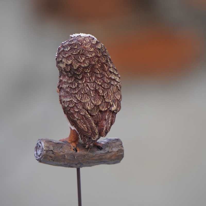 ガーデンピック「幸せをつれる白茶色のフクロウ♪」