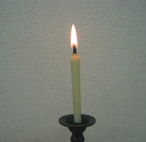 Ʀ�桡����Ϲ���������ˡ�100������