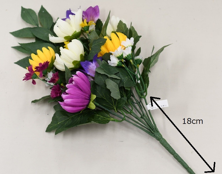 ���ѡ�ʩ���ѡ�¤�֡�ʩ�֡���L)��