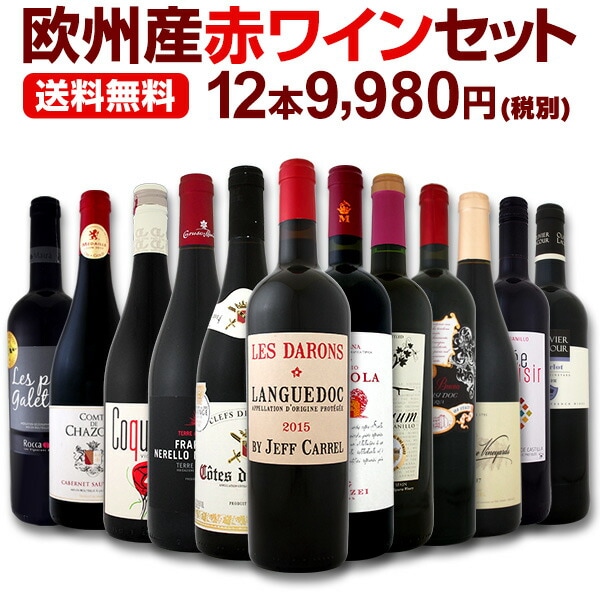 ワイン 【送料無料】第92弾！超特大感謝！≪スタッフ厳選≫の激得赤ワインセット 12本！
