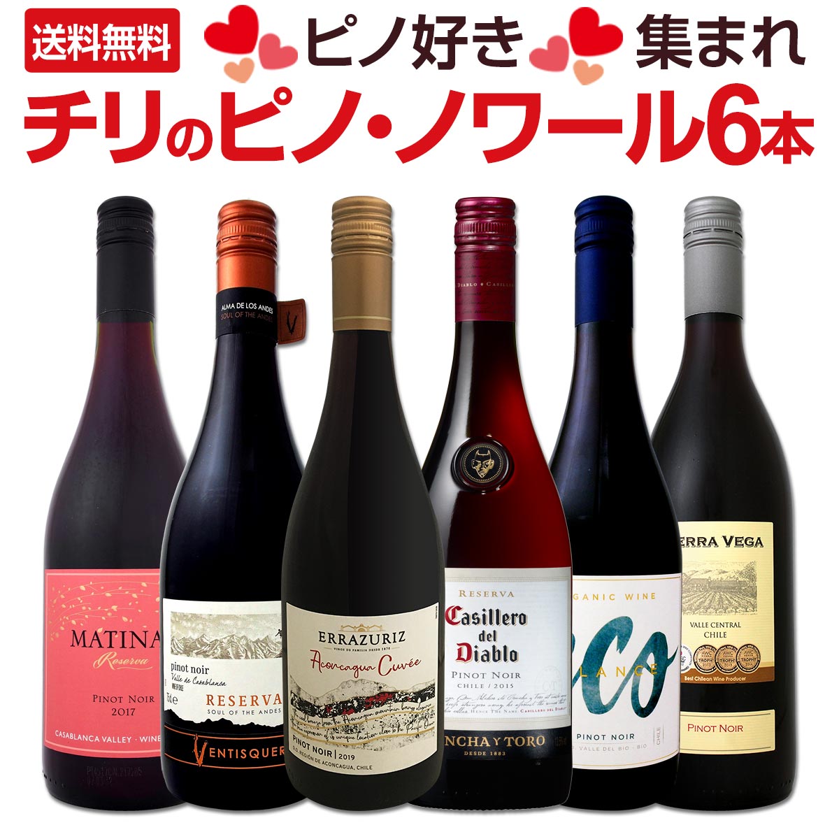 【送料無料】ピノ好き集まれ！品質向上目覚しいチリ・ピノ６本！
