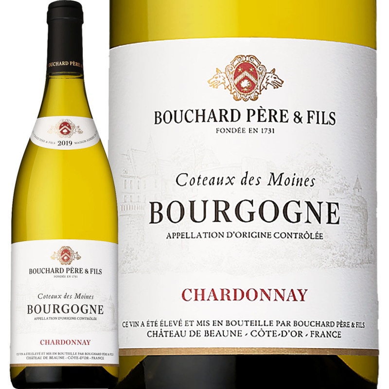 ֥㡼롦ڡ롦ե֥르˥塦ȡǡ̡֥ 2019 磻