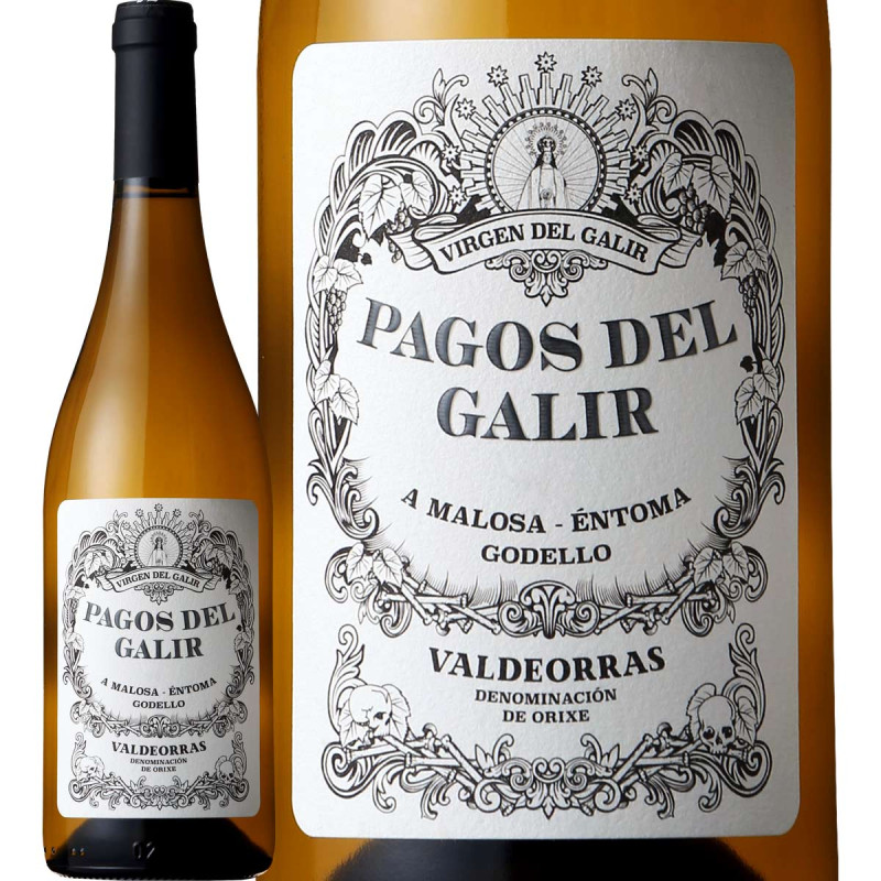 �ѥ������ǥ롦���ꥢ�����ǡ���� 2020 ��磻��