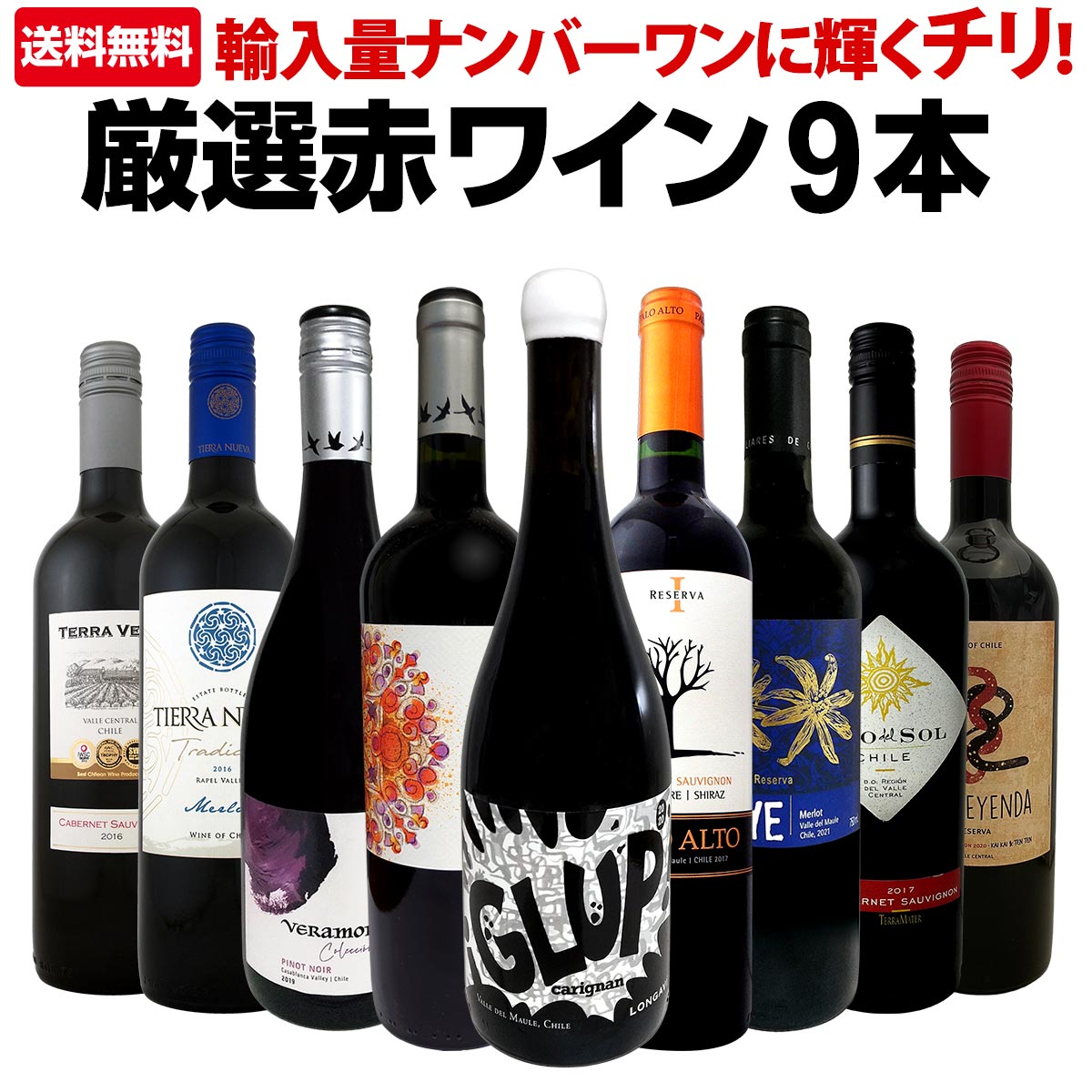 送料無料】今や輸入量ナンバーワンに輝くチリ！厳選赤ワイン9本セット