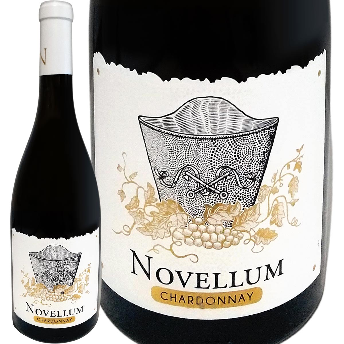 ドメーヌ・ラファージュ・ノヴェラム・シャルドネ 2021フランス 白