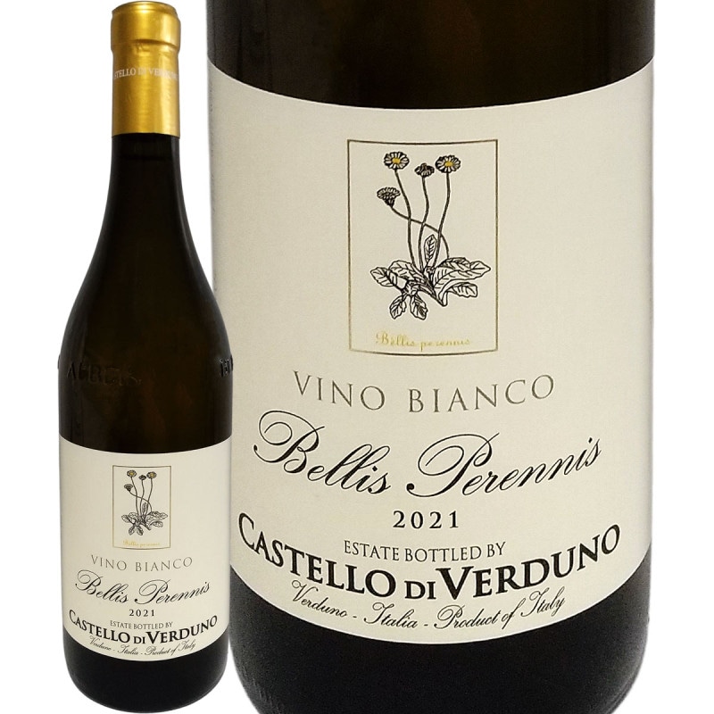 �����ƥå����ǥ���������ɥ����Ρ��٥ꥹ���ڥ�˥� 2021 ��磻��