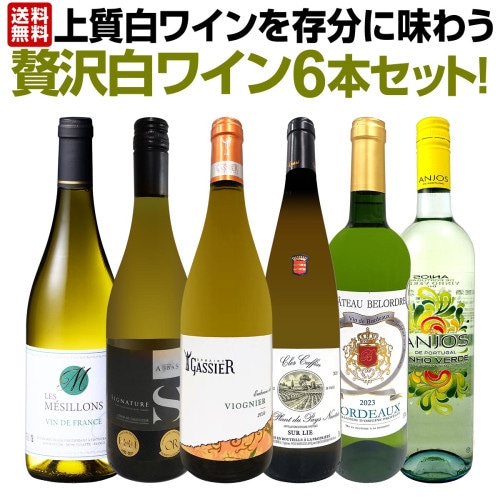 シャルドネ 15％OFF】446 シャルドネ 2022（ノーブル ヴァインズ