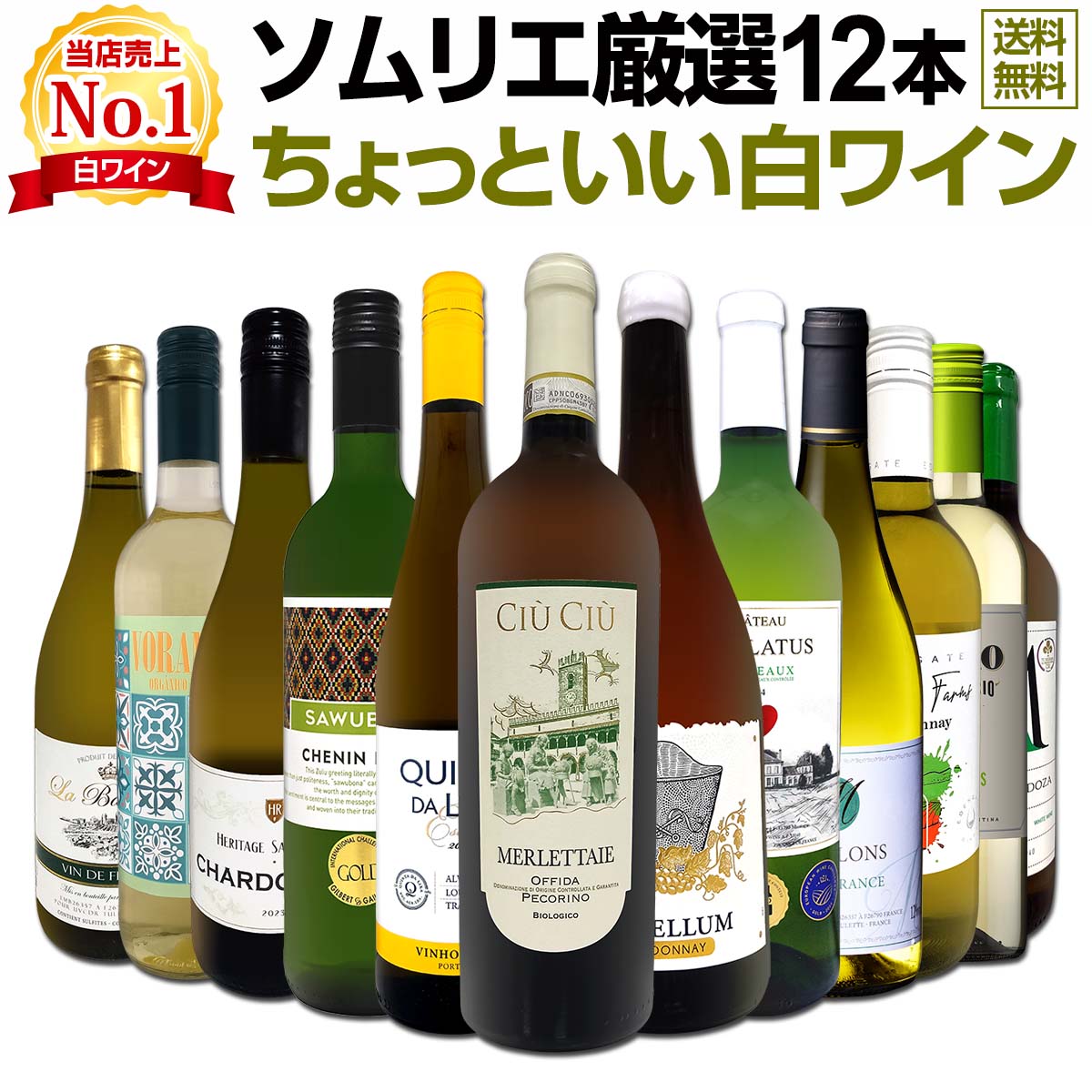 【送料無料】第121弾!当店オススメばかりを厳選したちょっといい白ワイン12本セット！