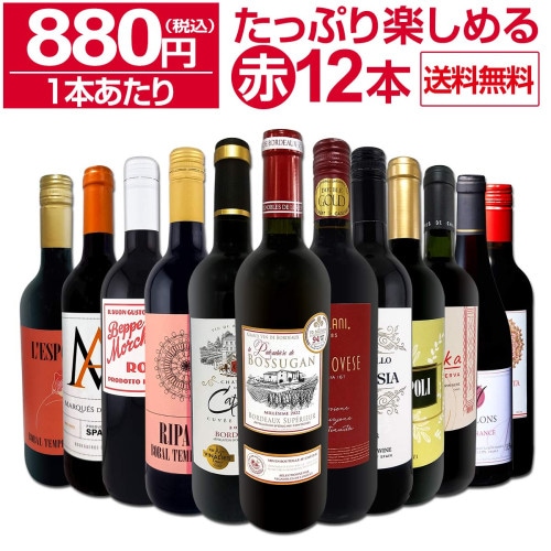 送料無料☆90セット限り】超稀少品種を体験☆個性派イタリア赤ワイン4