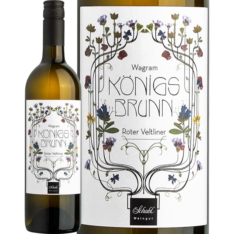 ���㡼�֥� ����������������ȥ꡼�ʡ� �����˥����֥�� 2022 ��磻��