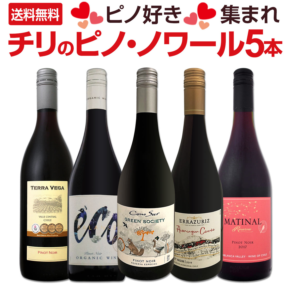 【送料無料】ピノ好き集まれ！品質向上目覚しいチリ・ピノ5本！