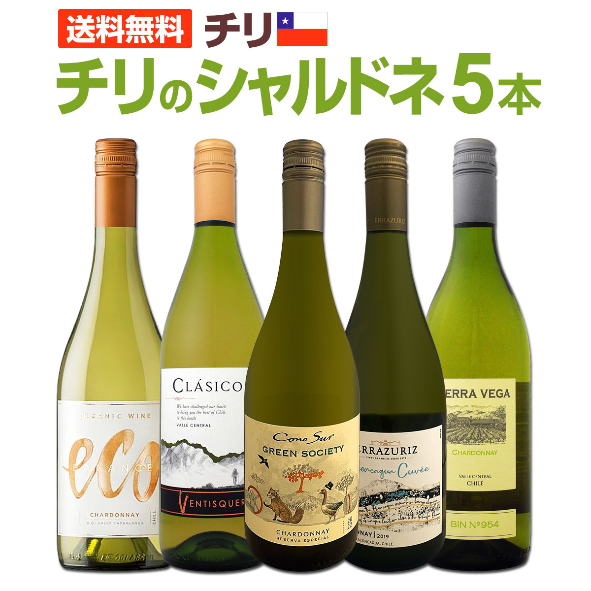 【送料無料】デイリー・シャルドネの決定版!向上目覚しいチリのシャルドネ５本セット！