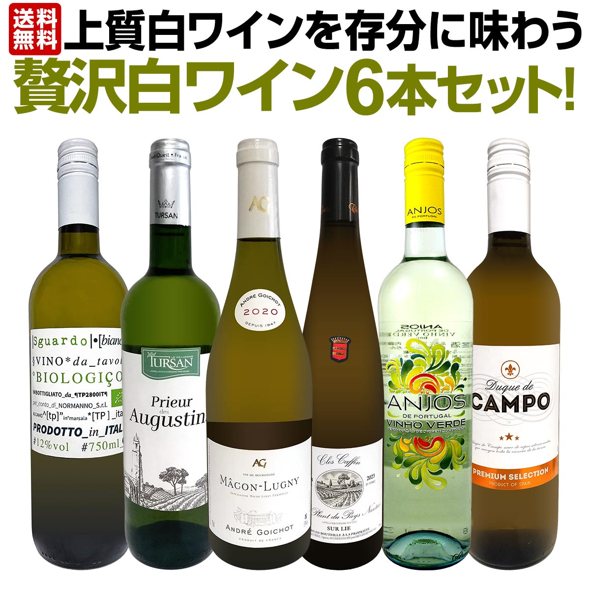 【送料無料】第55弾！当店≪極≫厳選！白ワイン好きならこのセット！格別の美味しさ！華やかな上質白ワインを存分に味わう贅沢白ワイン6本セット！
