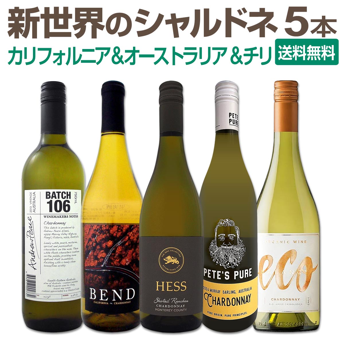 【送料無料】SNSでも話題のニュー・ブランドが初登場！お買い得ワインを集めた新世界のシャルドネづくし５本セット！