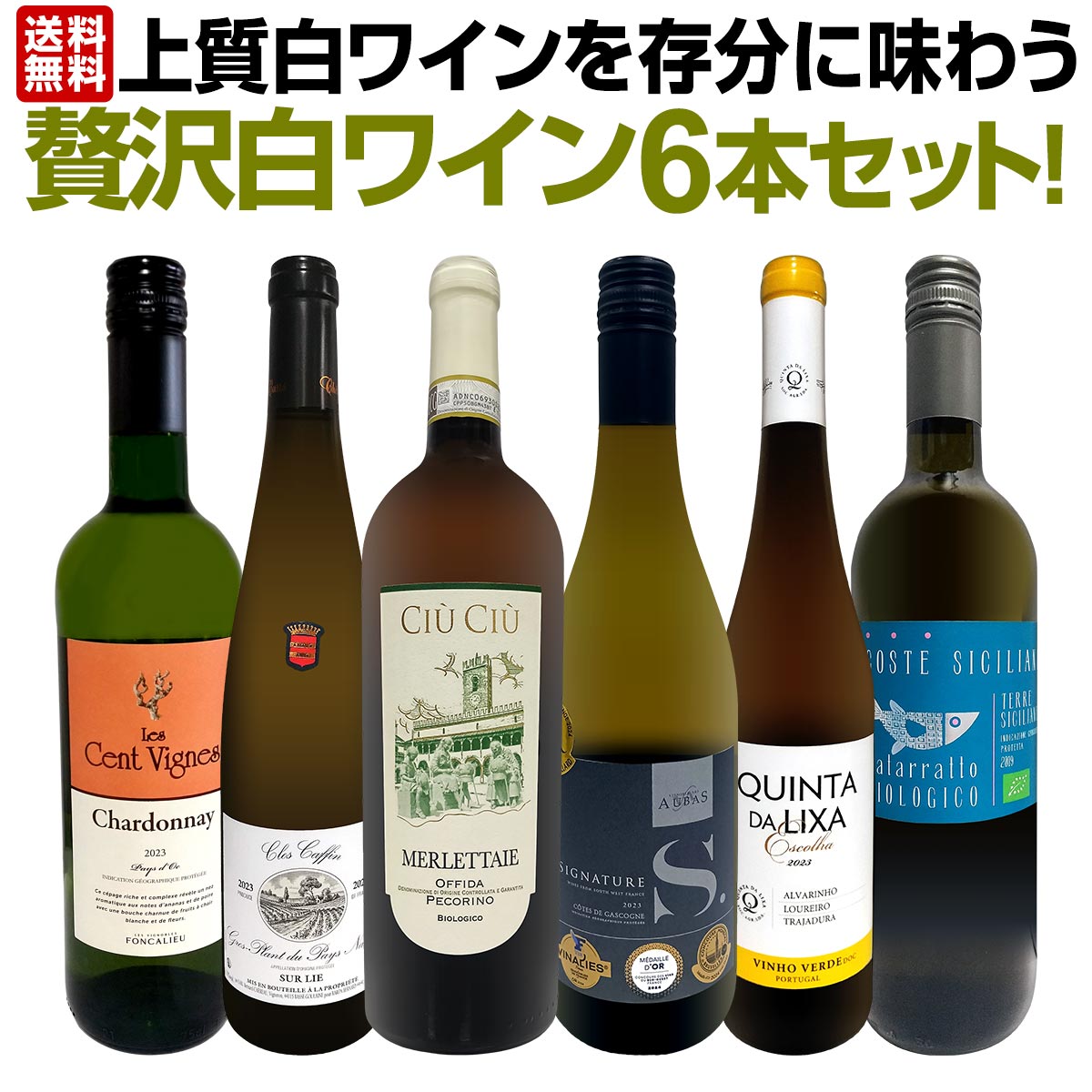 【送料無料】第62弾！当店≪極≫厳選！白ワイン好きならこのセット！格別の美味しさ！華やかな上質白ワインを存分に味わう贅沢白ワイン6本セット！