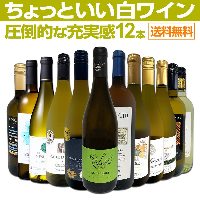 ̵101ơŹФäȤ磻12ܥåȡ