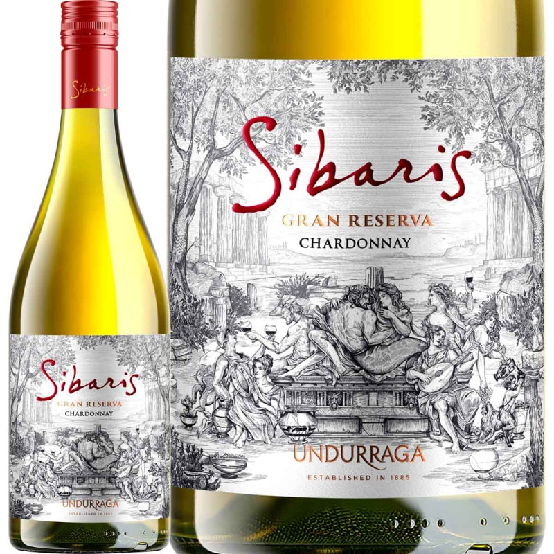 ɥ顼Хꥹ󡦥쥼ɥ2023磻ۡڥۡ750mlۡUndurraga