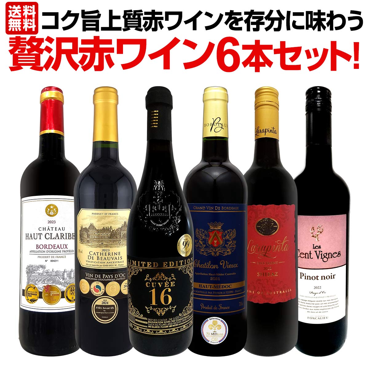 【送料無料】第49弾！当店≪極≫厳選！赤ワイン好きならこのセット！格別の美味しさ！コク旨上質赤ワインを存分に味わう贅沢赤ワイン6本セット！