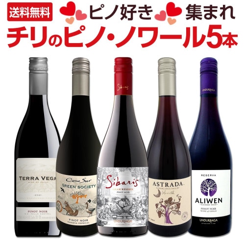 シャトー・デ・ドゥモワゼル 1996 赤ワイン | 赤ワイン | 京橋ワイン