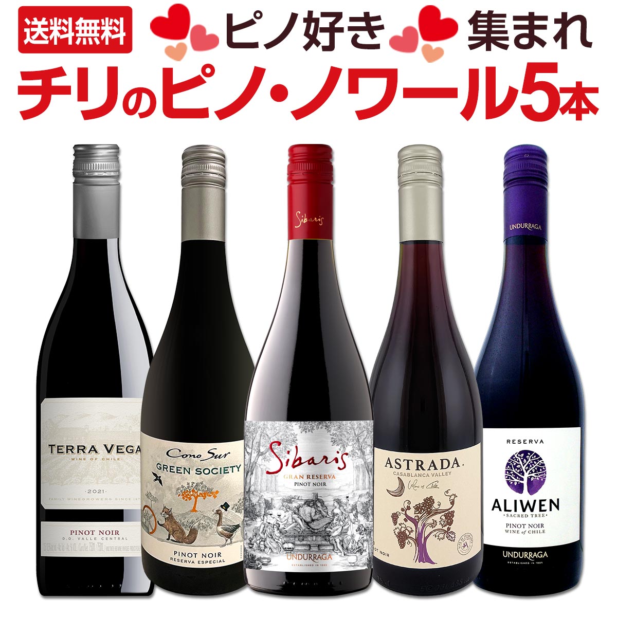 送料無料】ピノ好き集まれ！品質向上目覚しいチリ・ピノ5本